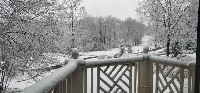 2092 Bakers Mill Road Dacula, GA 30019 - Photo 57 of 65 a view of a forest from a balcony