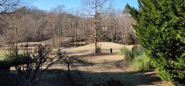 2092 Bakers Mill Road Dacula, GA 30019 - Photo 60 of 65 a view of a yard with trees