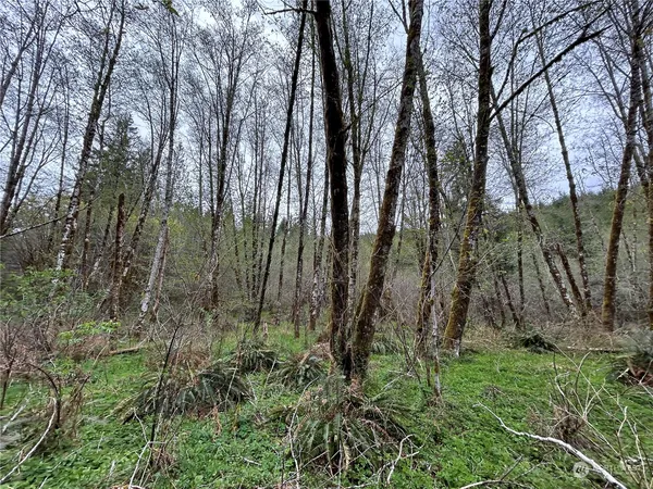 a view of backyard with green space