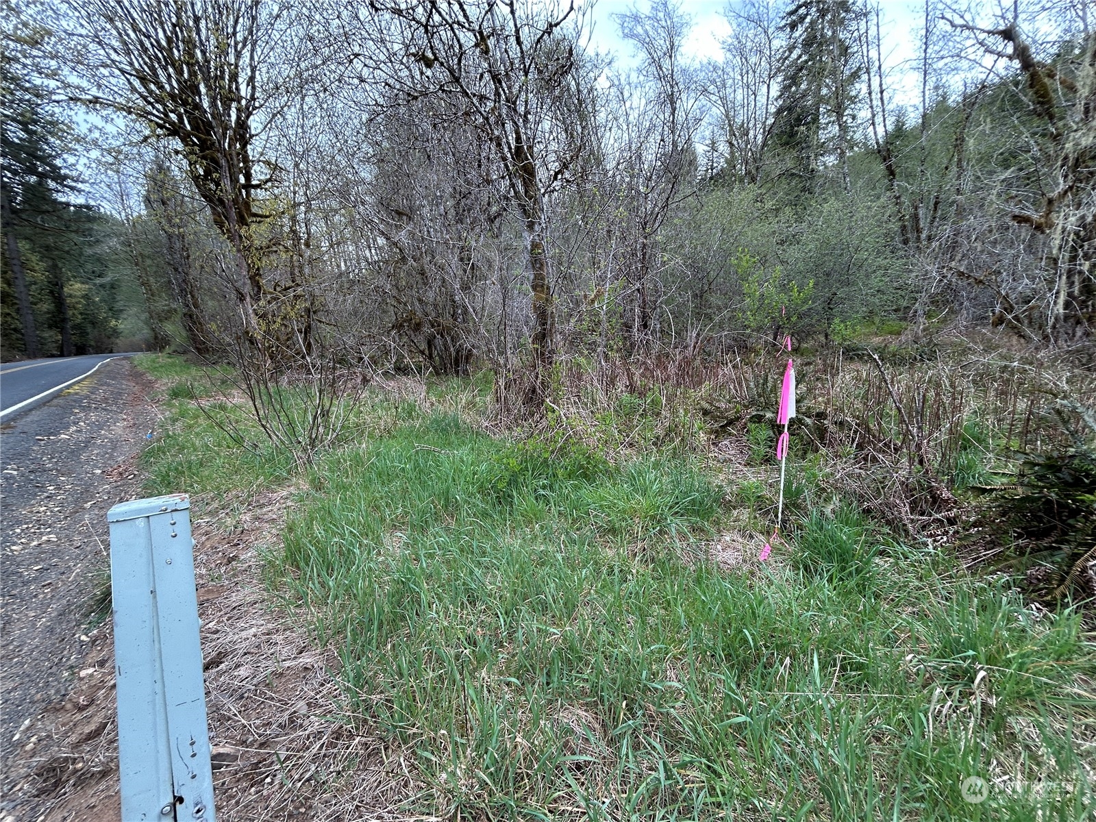 3 Abernathy Creek Road Longview, WA 98632 - Photo 14 of 14 a view of forest