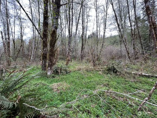 a big yard with lots of green space and deers