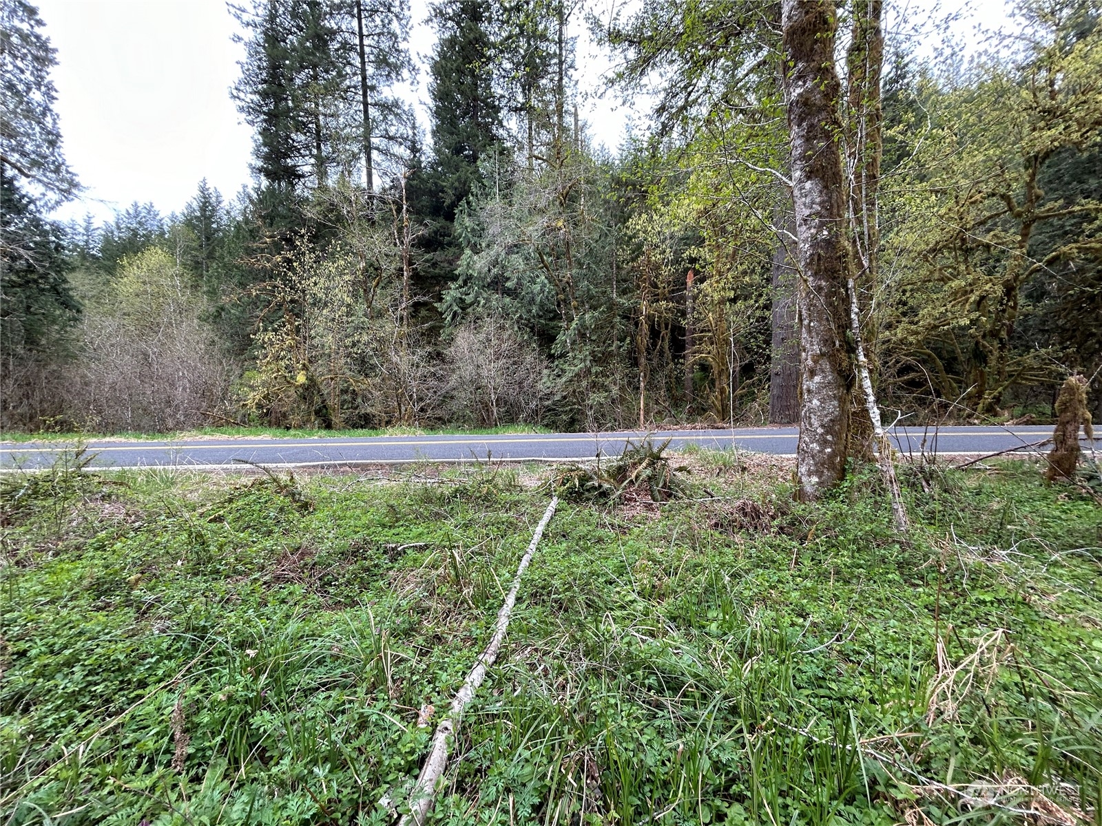 3 Abernathy Creek Road Longview, WA 98632 - Photo 3 of 14 a view of a backyard