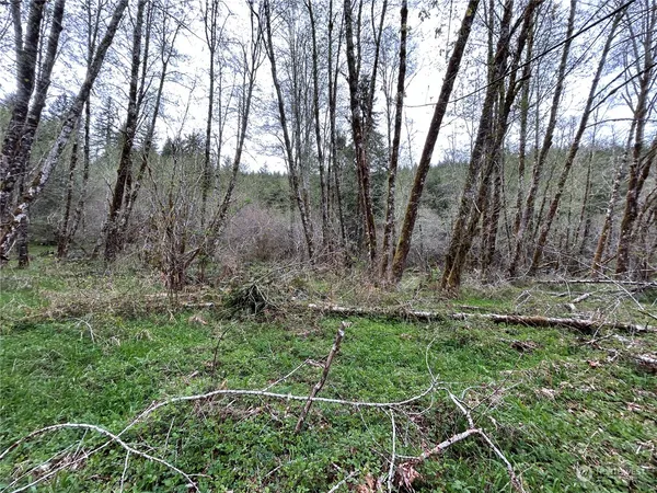 a view of backyard with green space