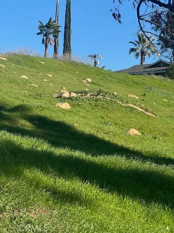 a view of an ocean from a yard