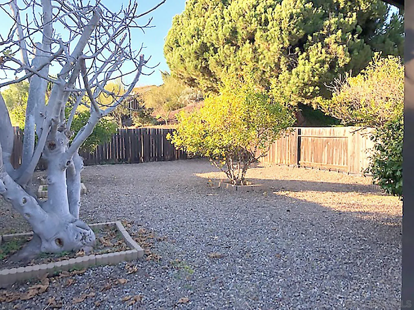 1771 Round Tree Drive Oceanside, CA 92056 - Photo 9 of 14 a view of backyard and tree