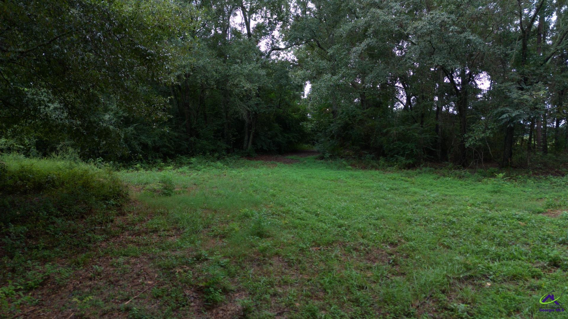 Grovania Road Elko, GA 31025 - Photo 16 of 23