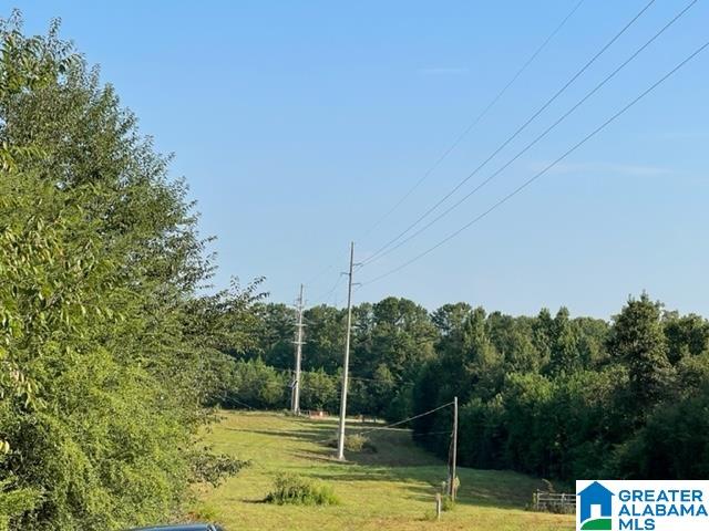 830 Whitson Road Munford, AL 36268 - Photo 2 of 3