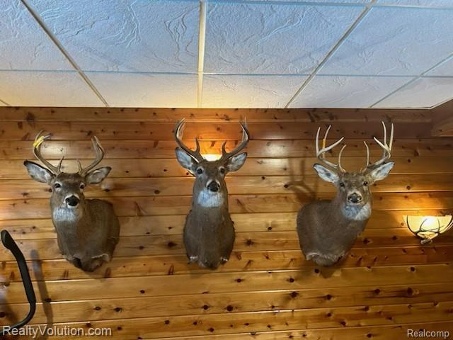 3597 Lippincott Road Lapeer, MI 48446 - Photo 48 of 49 Gallery Image 48
