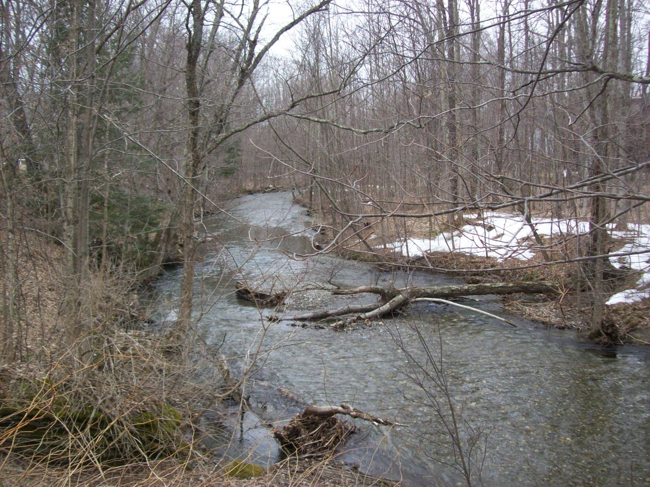 17 Bailey Road Lanesborough, MA 01237 - Photo 4 of 10 Abuts back yard