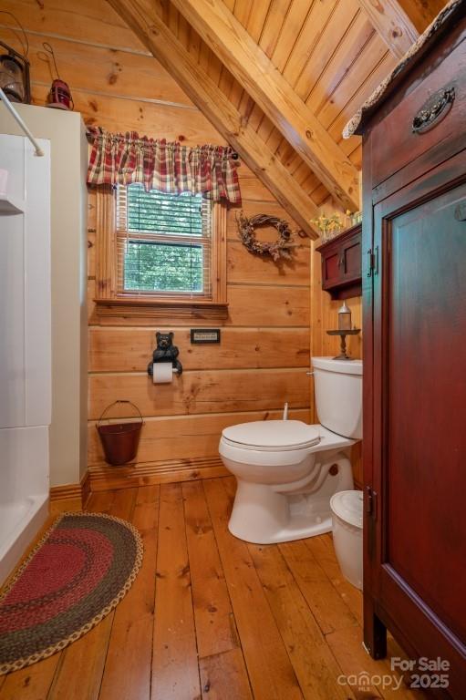 186 Black Ridge Drive Bostic, NC 28018 - Photo 23 of 47 a bathroom with a toilet and a shower