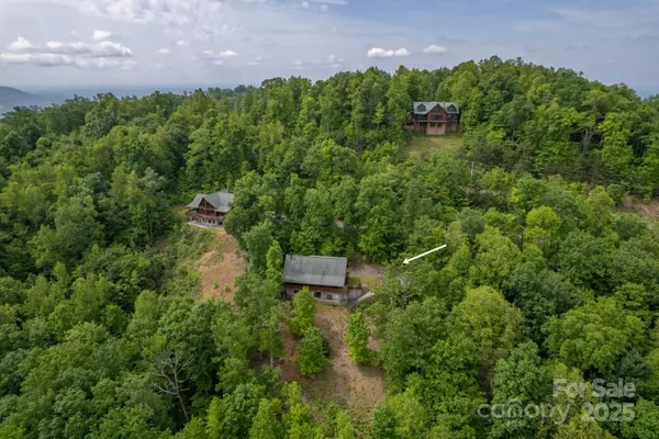 an aerial view of a house with a yard and a large tree
