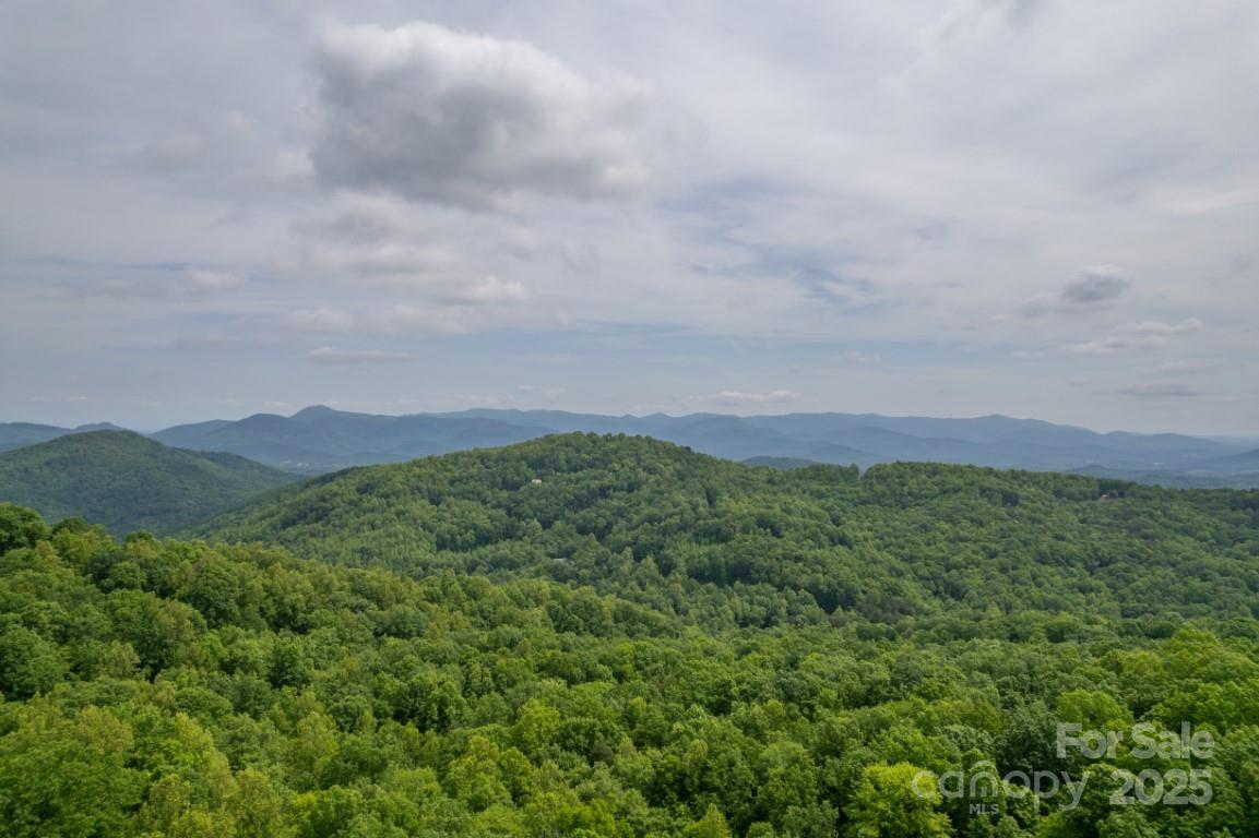 186 Black Ridge Drive Bostic, NC 28018 - Photo 42 of 47 a view of a lush green outdoor space with a lake view