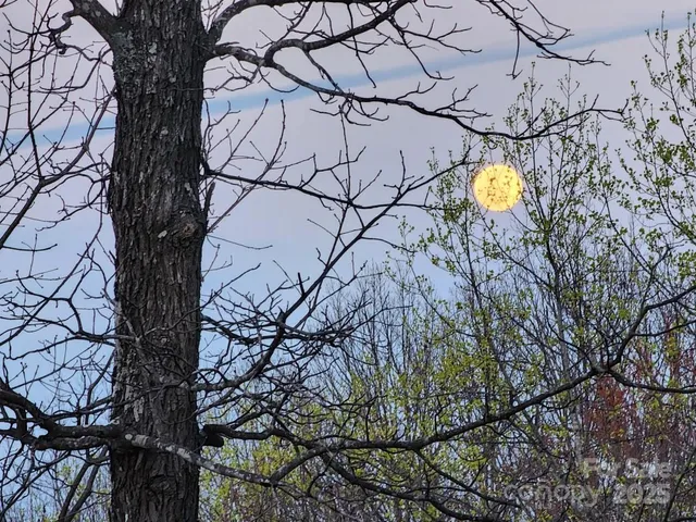 $625,000 | 186 Black Ridge Drive, Bostic, NC 28018