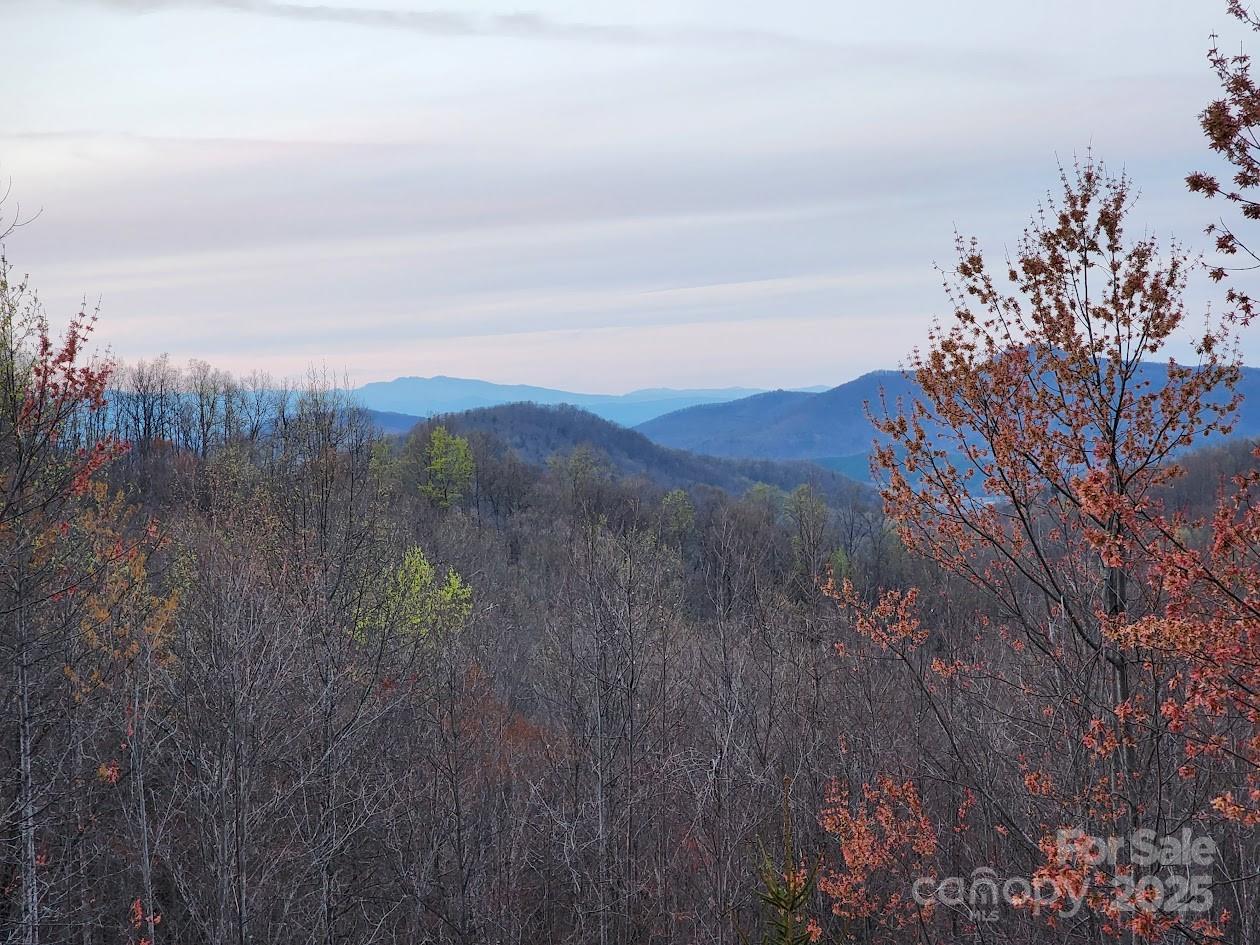 186 Black Ridge Drive Bostic, NC 28018 - Photo 46 of 47 a view of a dry yard with mountains in the background