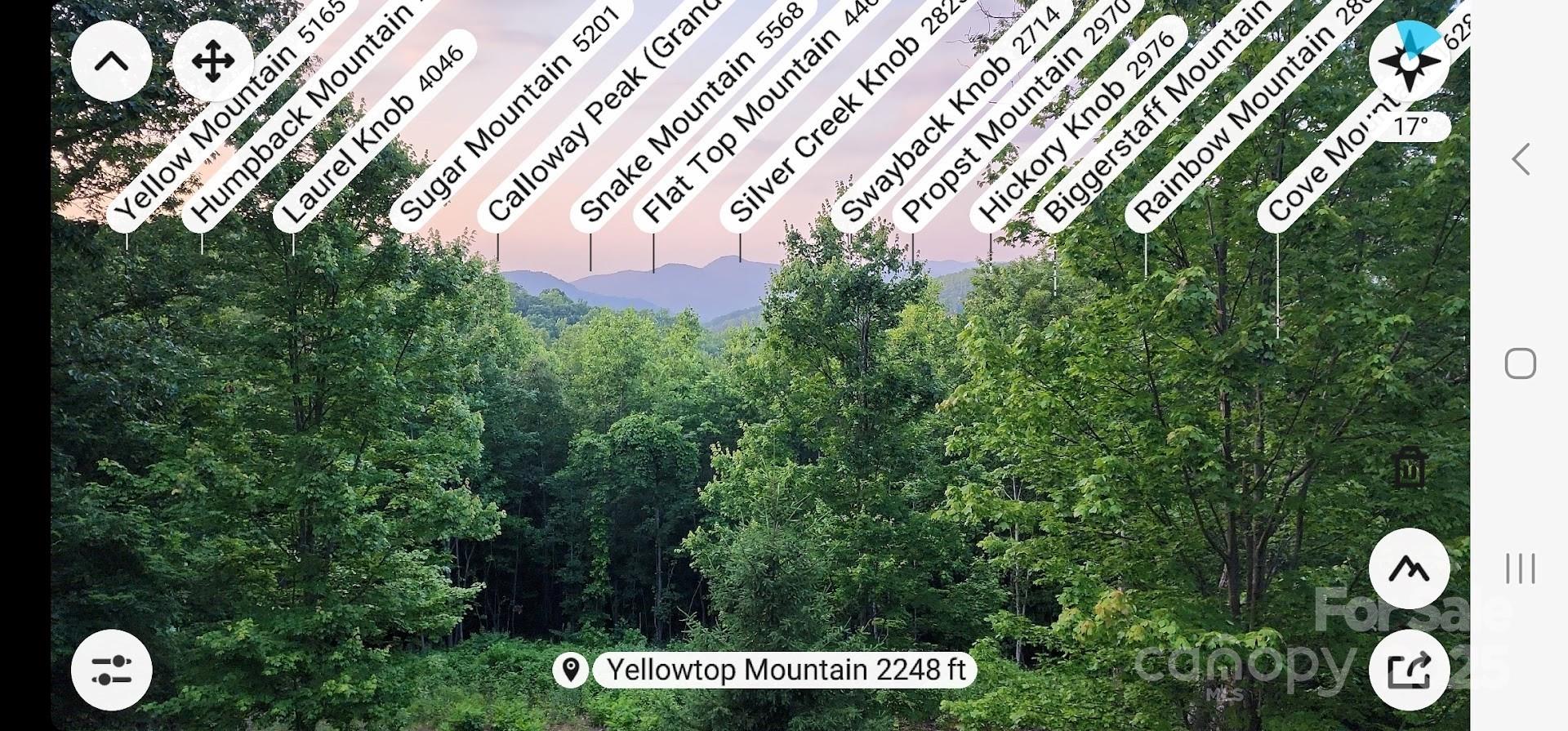 186 Black Ridge Drive Bostic, NC 28018 - Photo 47 of 47 a view of a pathway in a garden