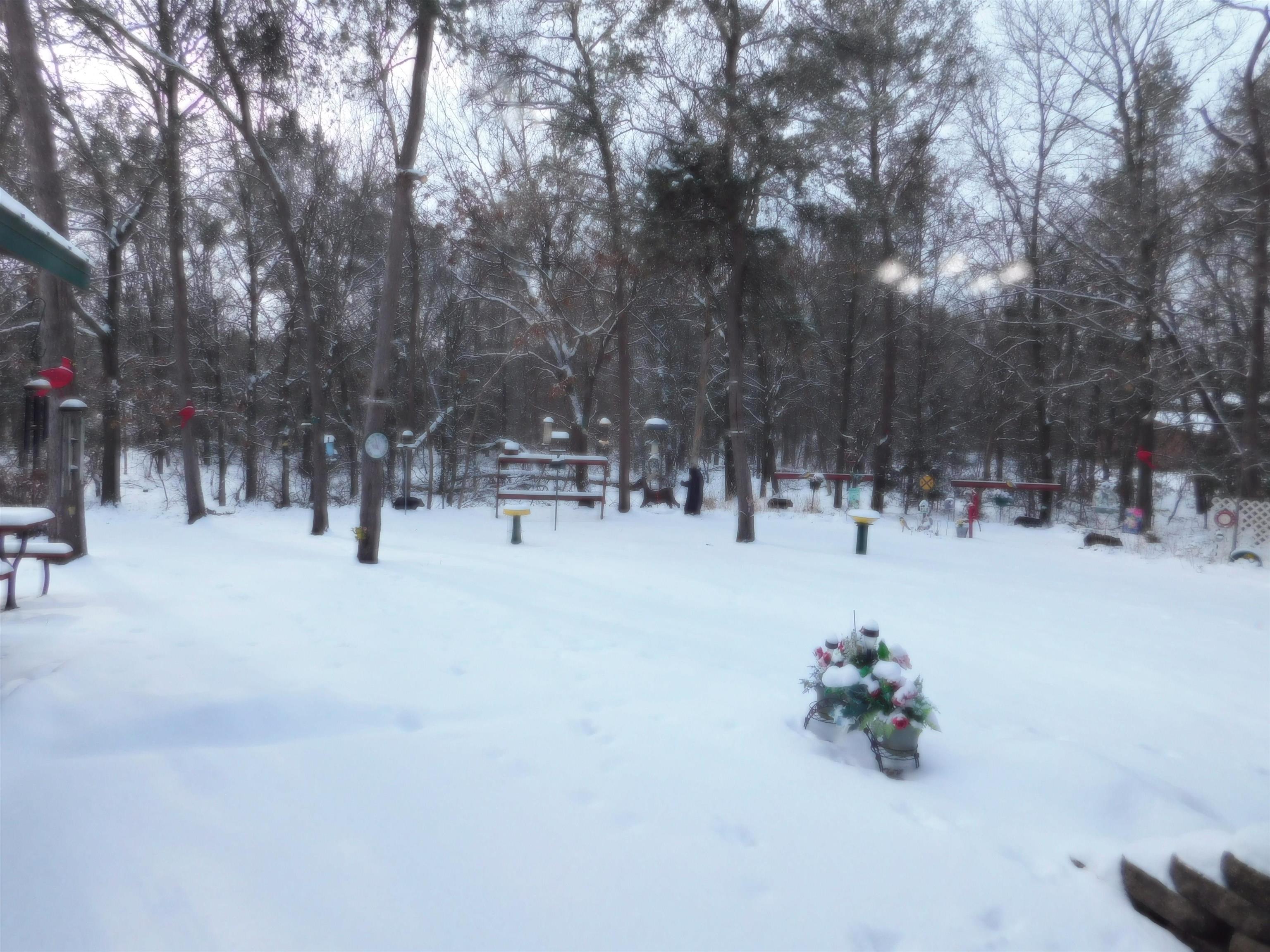 29747 Whispering Pines Road Lone Rock, WI 53556 - Photo 3 of 13