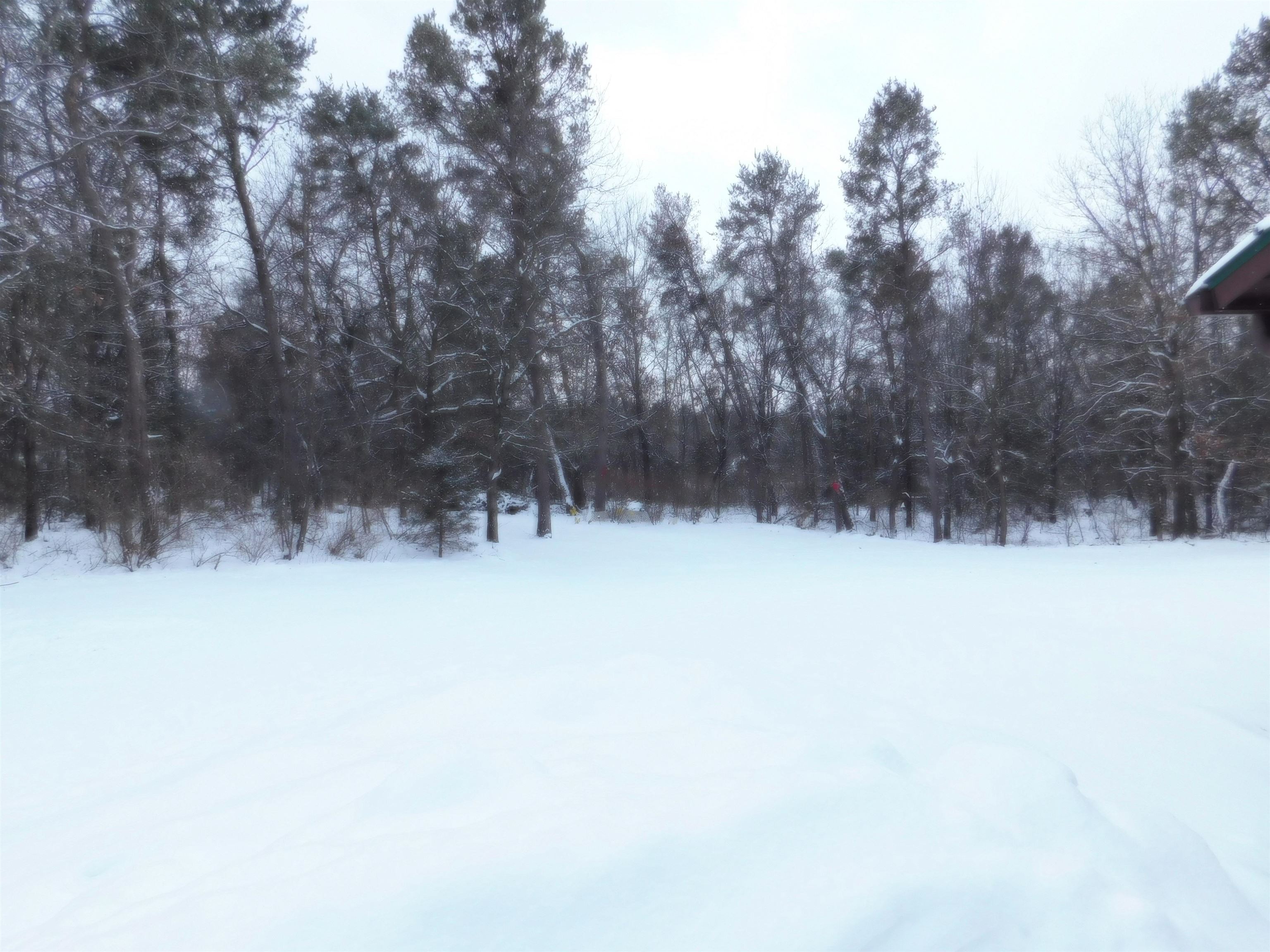 29747 Whispering Pines Road Lone Rock, WI 53556 - Photo 4 of 13