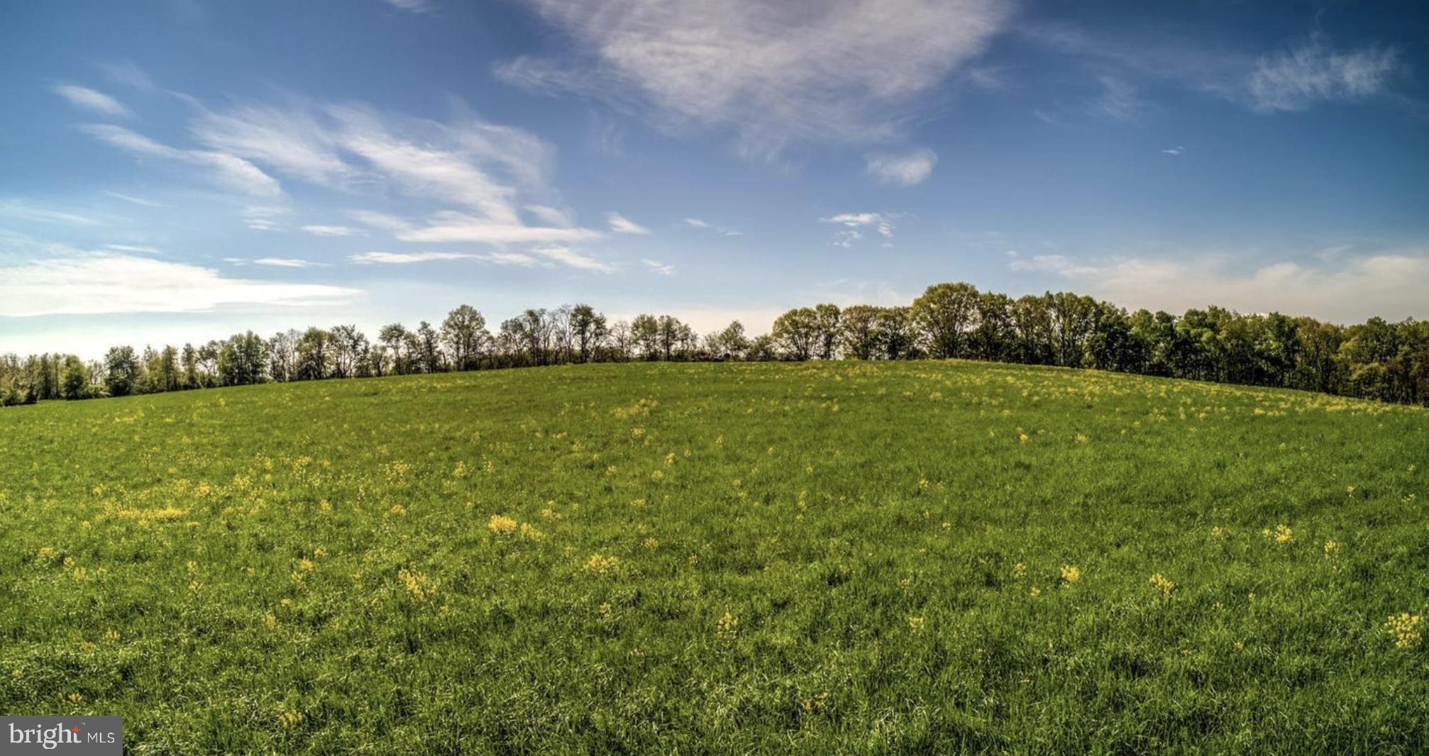 0 Kellocks Run Road Hummelstown, PA 17036 - Photo 8 of 10 Gallery Image 8