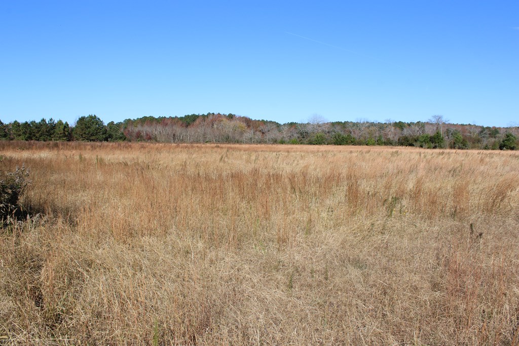 Lot 3-4 Mink Farm Road, Unit 4 3 Onancock, VA 23417 - Photo 9 of 19