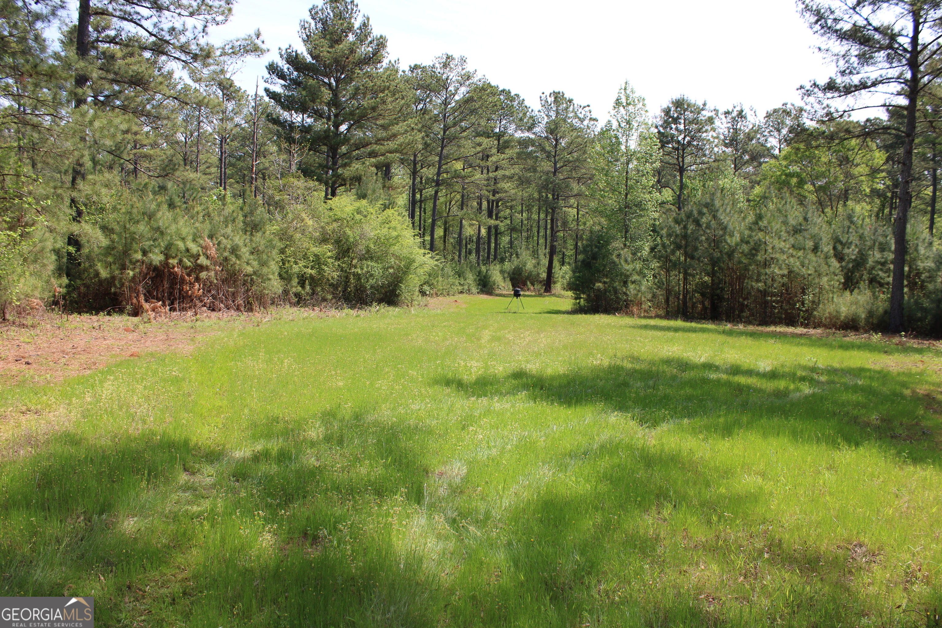 0 Ruffner Road The Rock, GA 30285 - Photo 23 of 51 a view of field with trees in the background