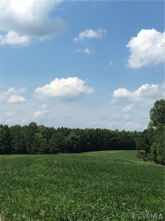7130 Shooter Run Road New Kent, VA 23124 - Photo 13 of 25 Gallery Image 13