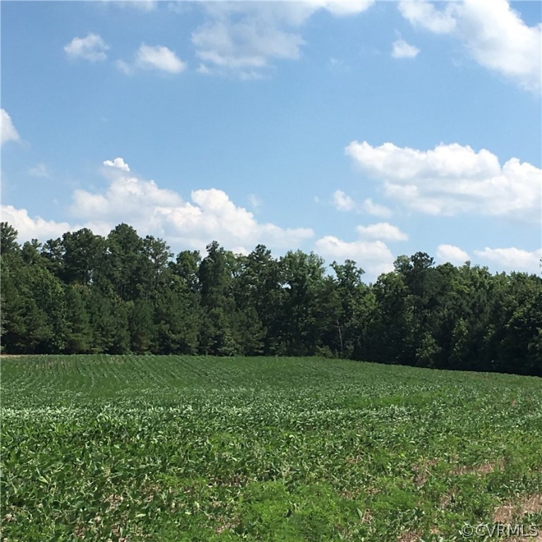 7130 Shooter Run Road New Kent, VA 23124 - Photo 15 of 25 Gallery Image 15