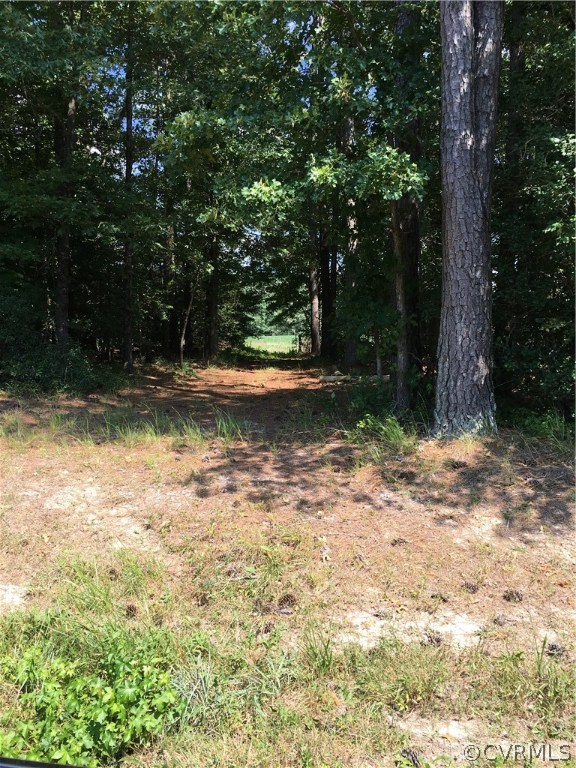 7130 Shooter Run Road New Kent, VA 23124 - Photo 19 of 25 Gallery Image 19