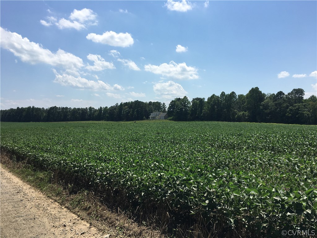7130 Shooter Run Road New Kent, VA 23124 - Photo 21 of 25 Gallery Image 21