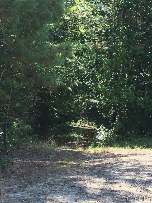 7130 Shooter Run Road New Kent, VA 23124 - Photo 10 of 25 Gallery Image 10