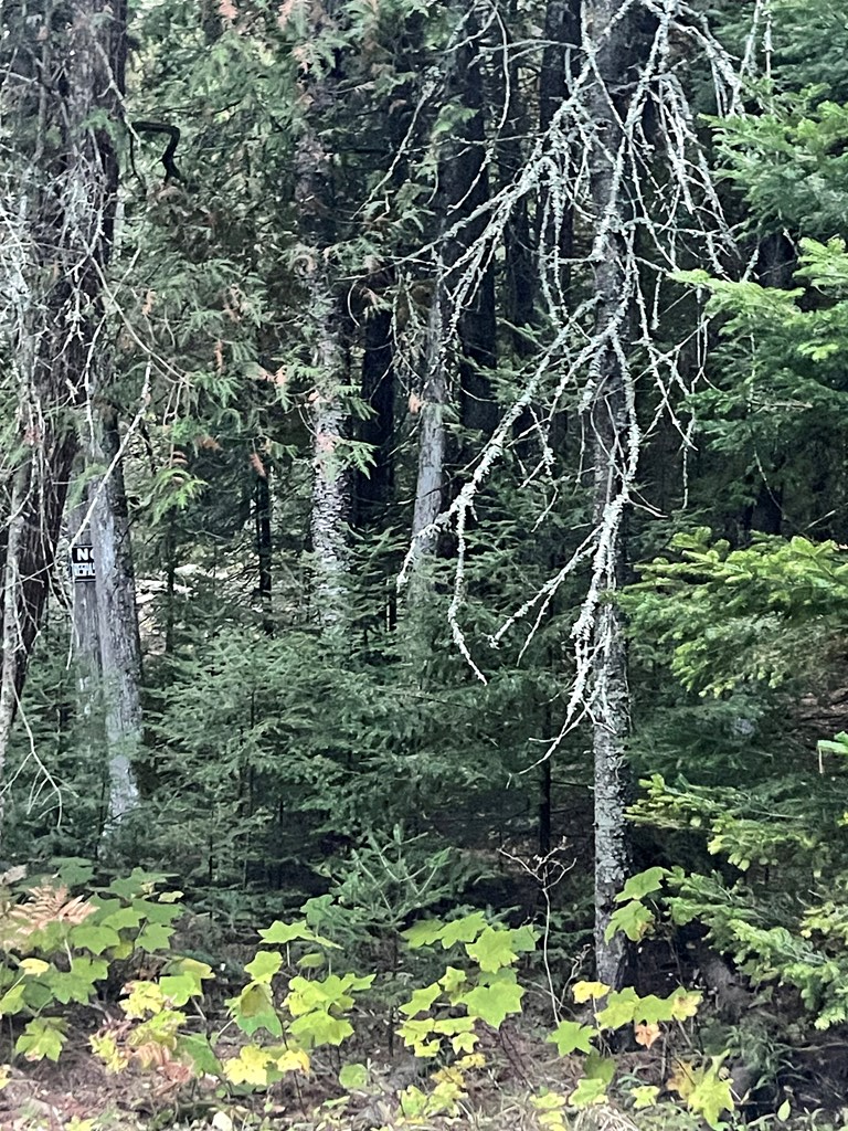 West Cana Island Road Baileys Harbor, WI 54202 - Photo 2 of 6