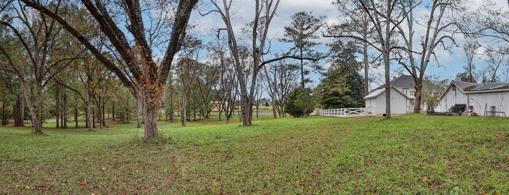 434 George W Towns Road Talbotton, GA 31827 - Photo 20 of 66 Gallery Image 20