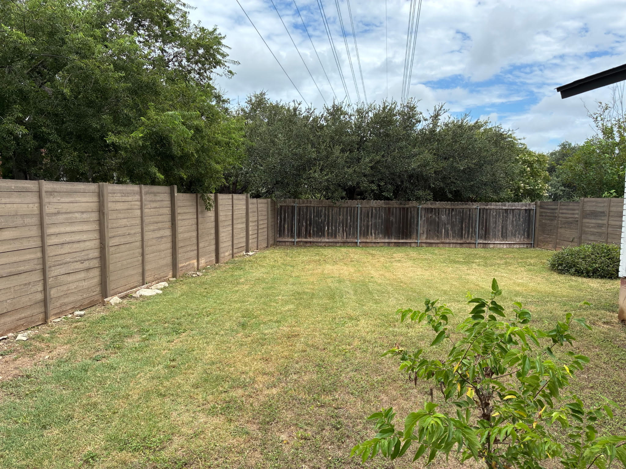 6706 Circle S Road, Unit B Austin, TX 78745 - Photo 4 of 18 Mature trees frame a fully enclosed grassy backyard offering privacy and open space.