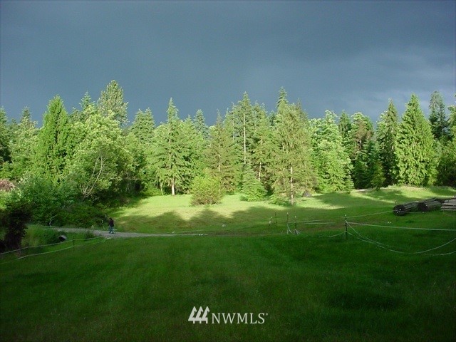 13533 Odell Road Northeast Duvall, WA 98019 - Photo 6 of 6 Gallery Image 6