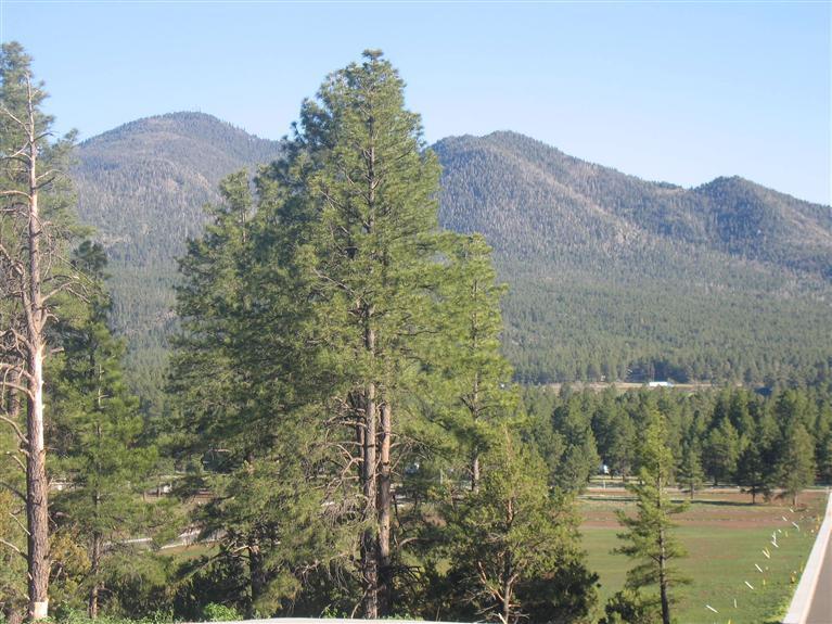 2610 Ridgewood Way Williams, AZ 86046 - Photo 1 of 5 Primary Photo