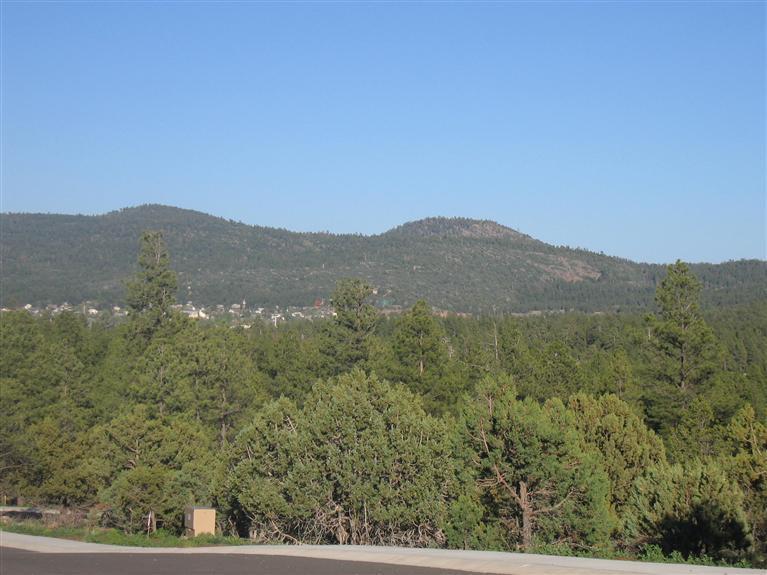 2610 Ridgewood Way Williams, AZ 86046 - Photo 3 of 5 Additional Photo