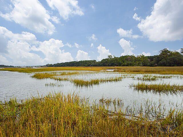 1223 Long Point Road Mount Pleasant, SC 29464 - Photo 3 of 39 20211106152639739299000000-o