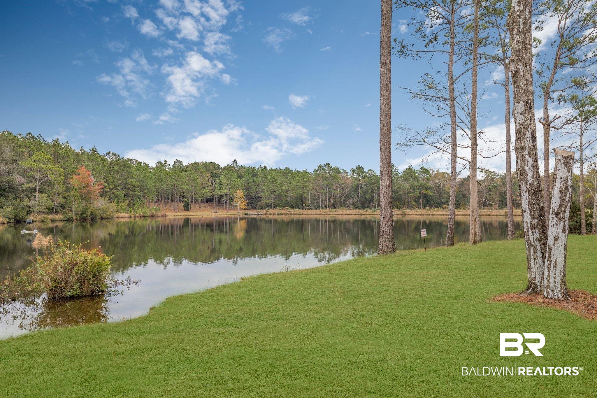 48382 Chastang Lake Road Bay Minette, AL 36507 - Photo 32 of 43 View from Back Porch