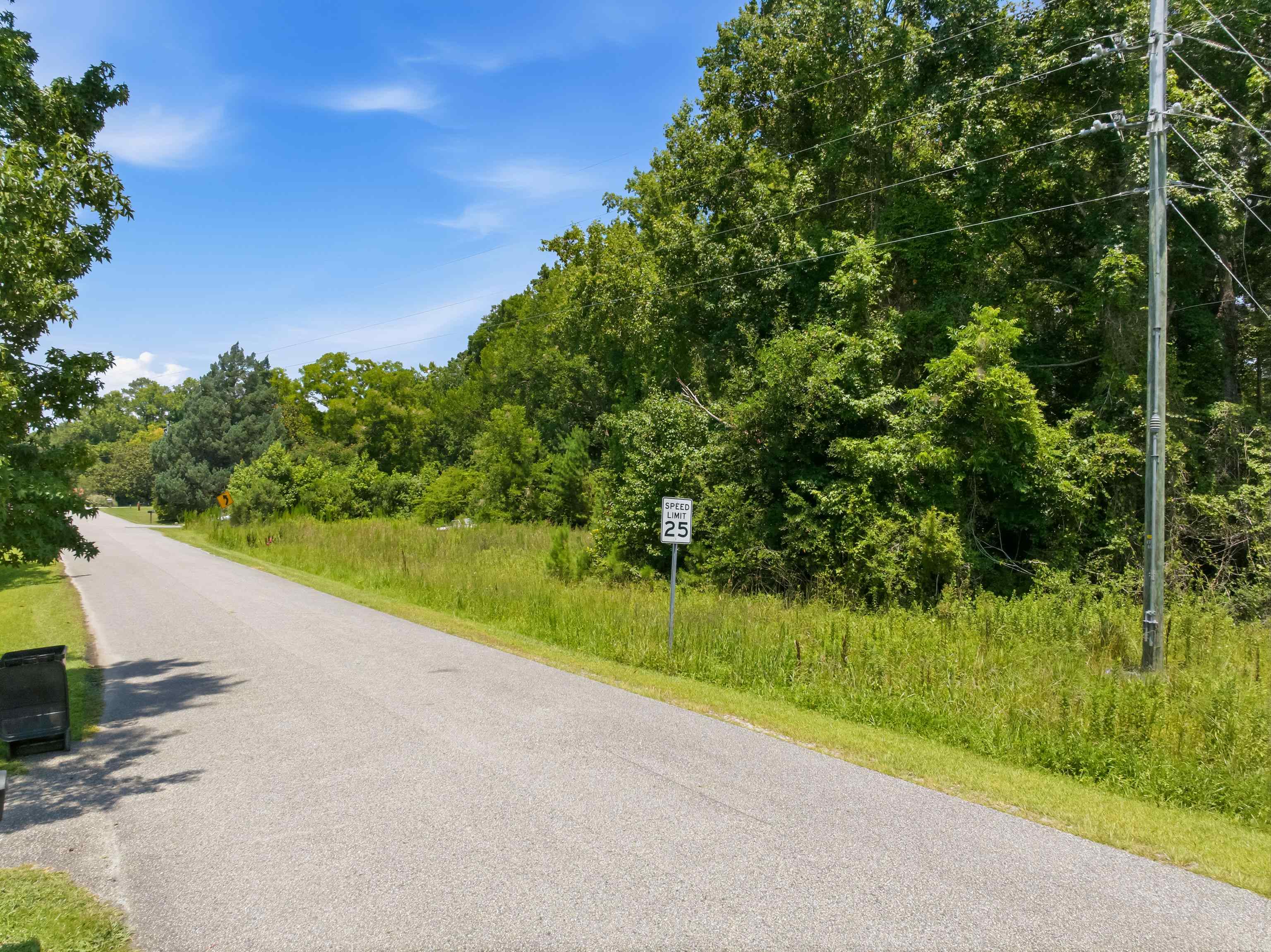 66 Highway 66 Conway, SC 29526 - Photo 18 of 21