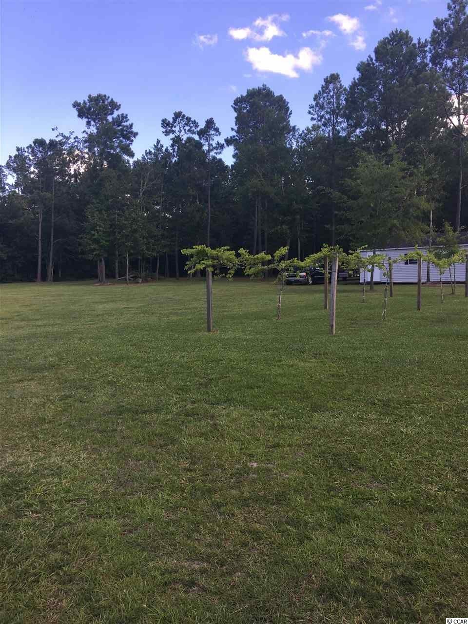 3540 Poplar Church Road Aynor, SC 29511 - Photo 34 of 35 Gallery Image 34