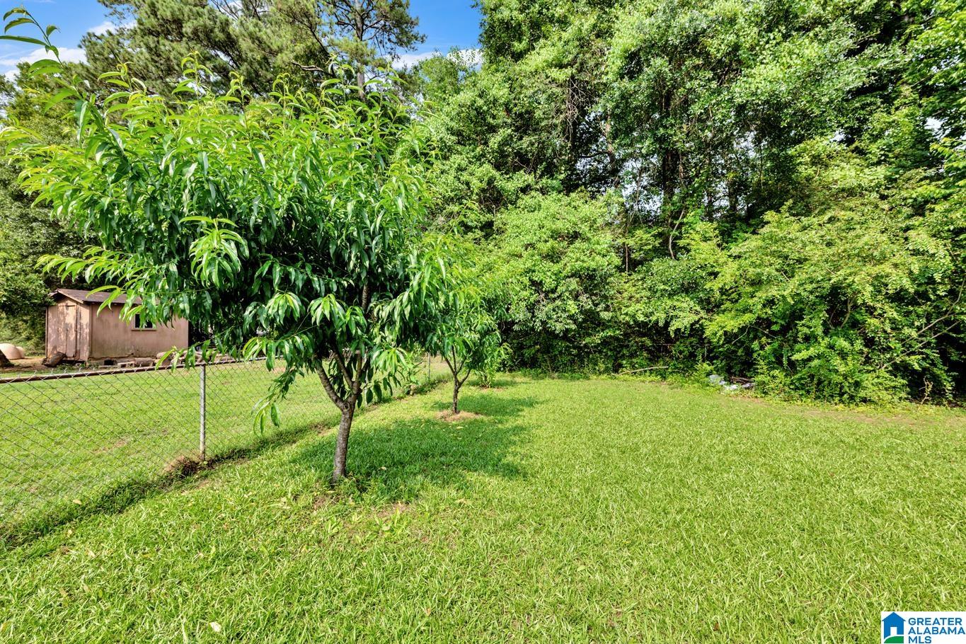 8 Fieldview Drive Oneonta, AL 35121 - Photo 28 of 29