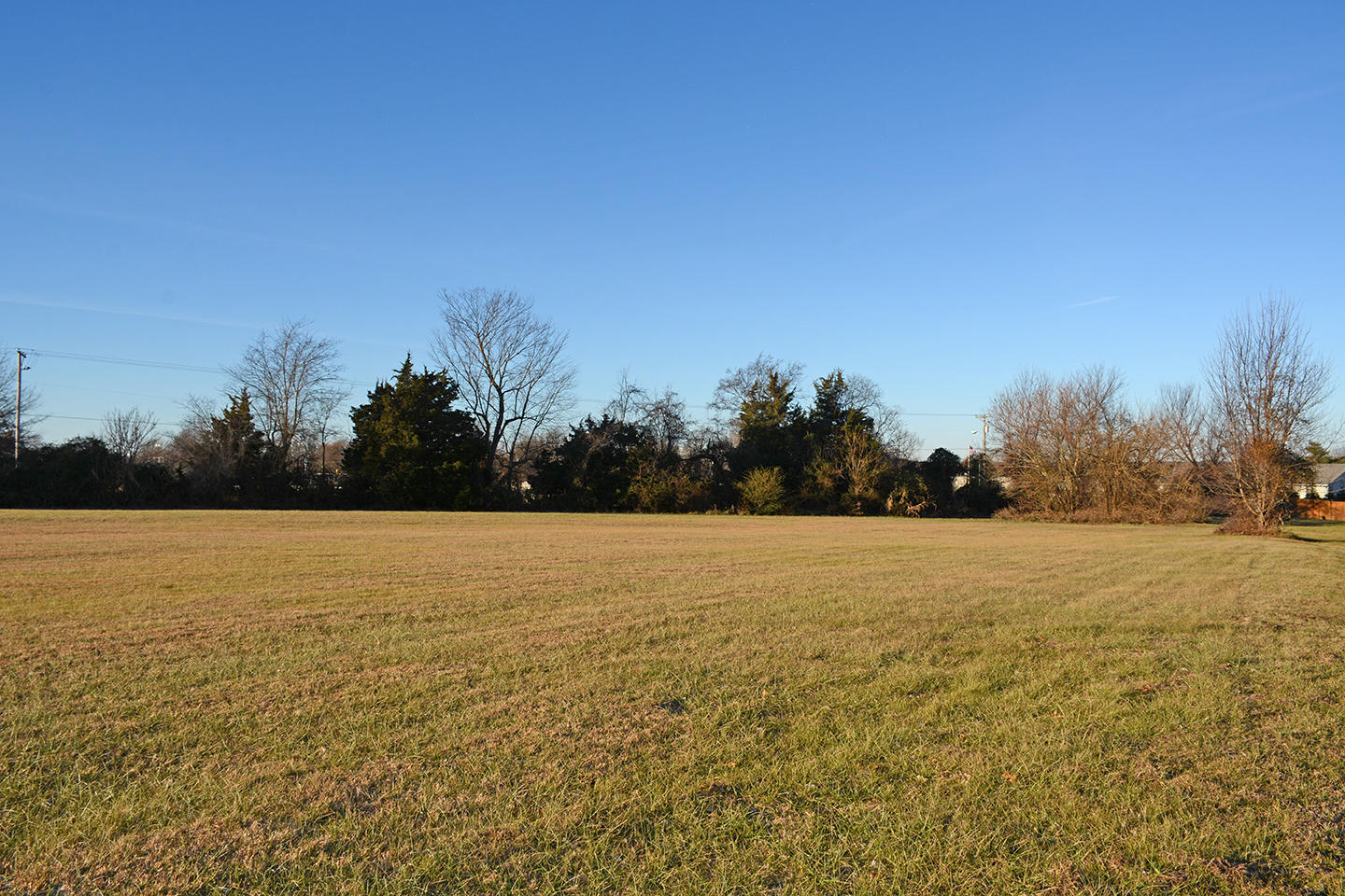 82 Holly Ridge Road Willard, MO 65781 - Photo 1 of 1 DSC_5971