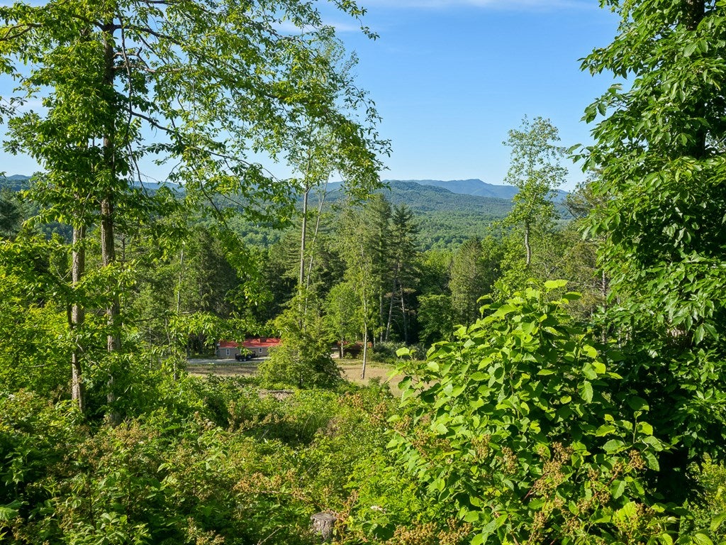 6313 Dunlap Creek Road Covington, VA 24426 - Photo 14 of 46 Gallery Image 14