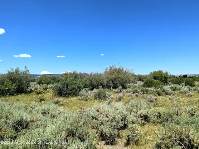 $3,250,000 | 23 Daniel Merna Road, Daniel, WY 83115