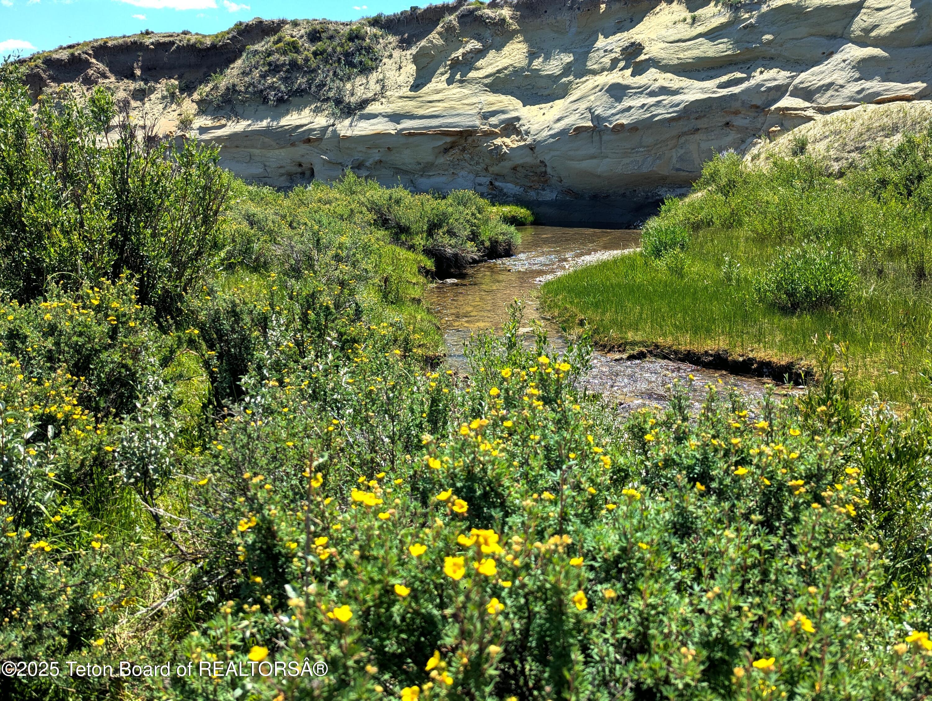 23 Daniel Merna Road Daniel, WY 83115 - Photo 8 of 38 PXL_20250715_181356142