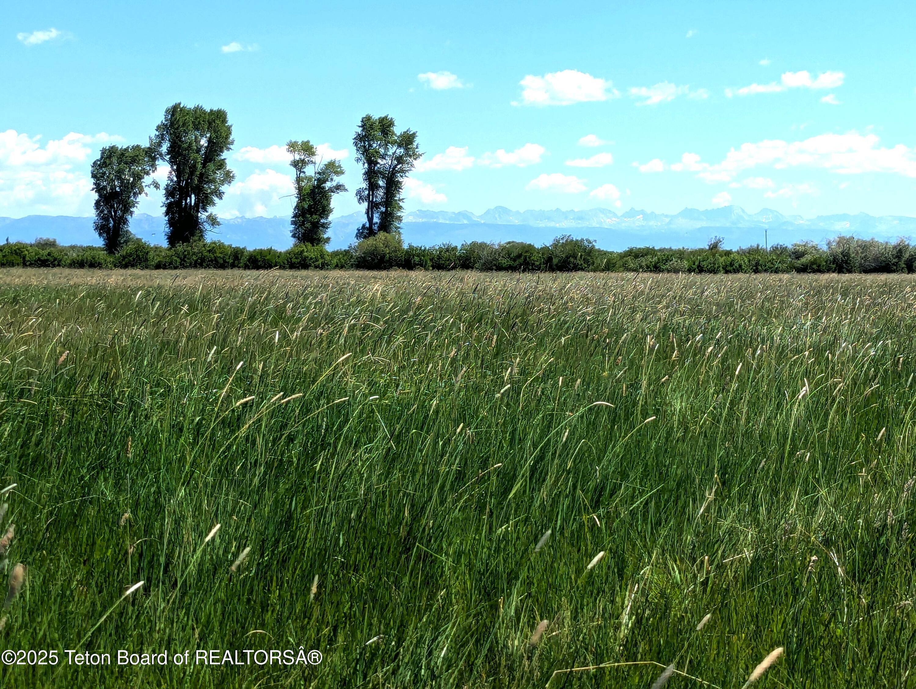 23 Daniel Merna Road Daniel, WY 83115 - Photo 10 of 38 PXL_20250715_180222225