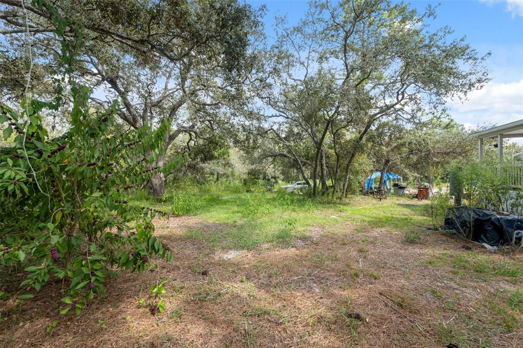 17221 Nicks Drive Spring Hill, FL 34610 - Photo 28 of 33 a view of outdoor space and yard