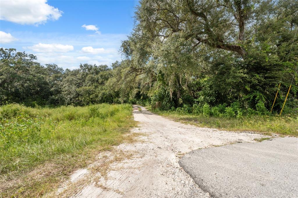 17221 Nicks Drive Spring Hill, FL 34610 - Photo 30 of 33 a view of a yard with a tree