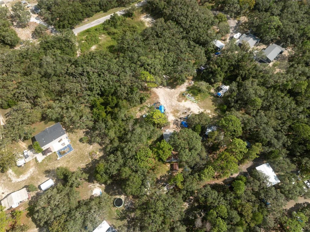 17221 Nicks Drive Spring Hill, FL 34610 - Photo 31 of 33 a view of a forest