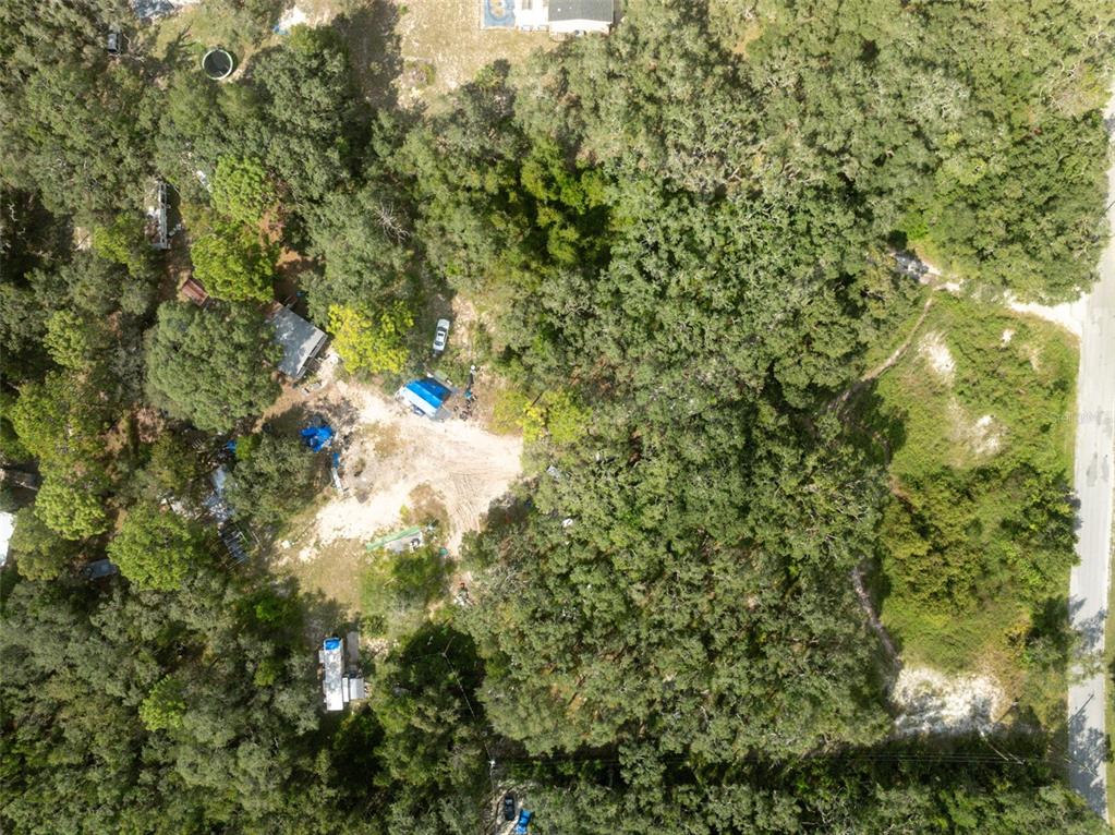 17221 Nicks Drive Spring Hill, FL 34610 - Photo 32 of 33 a view of a tree in a yard