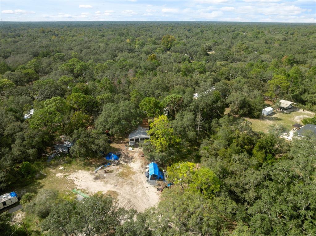 17221 Nicks Drive Spring Hill, FL 34610 - Photo 9 of 33 a view of a forest with a street